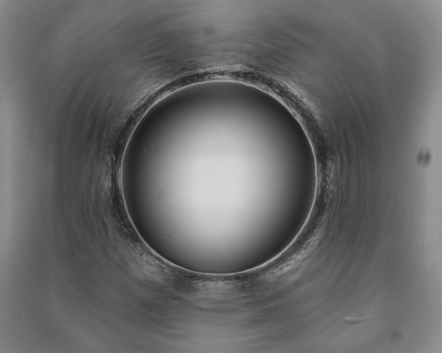 X0000091211257200708161535