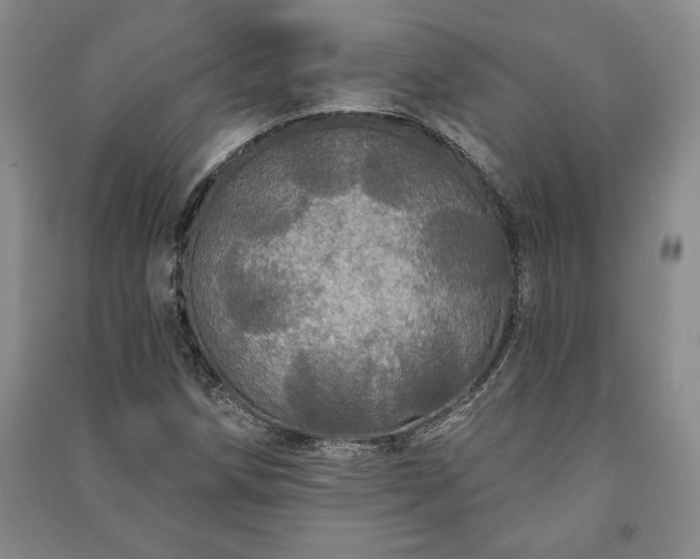 X0000091211258200708161535