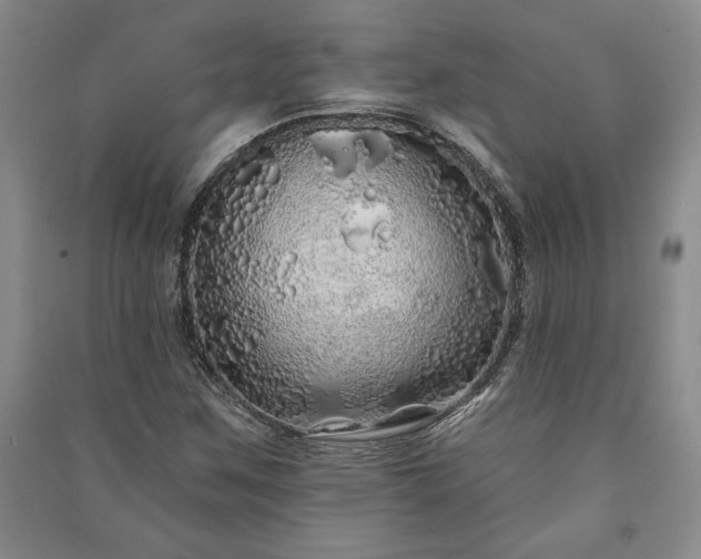 X0000091211259200708161535