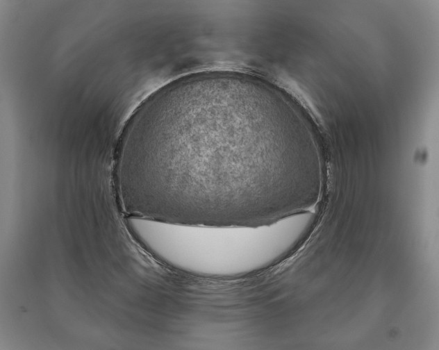 X0000091211260200708161535