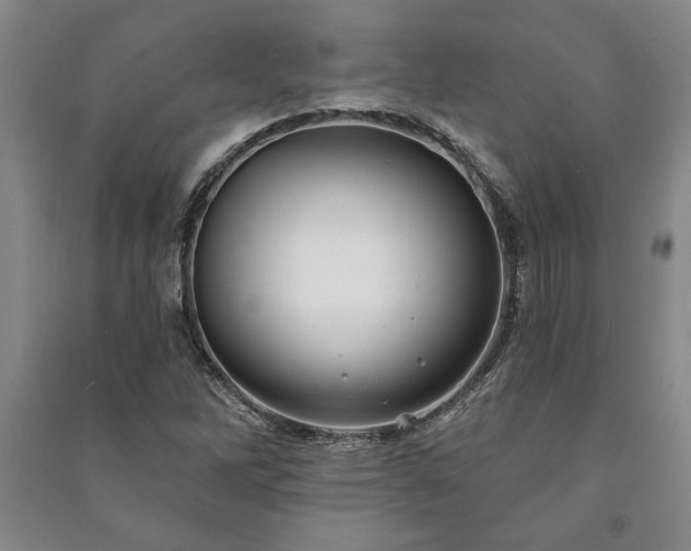 X0000091211262200708161535
