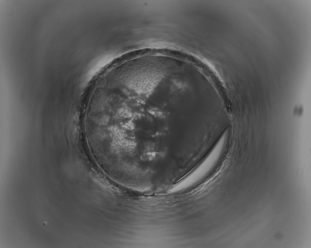 X0000091211263200708161535