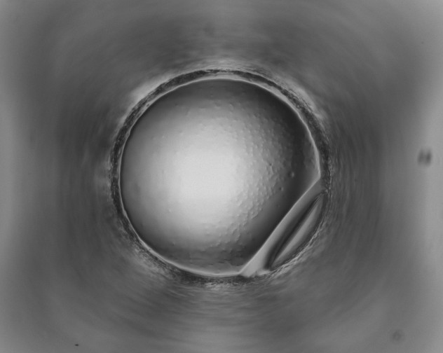 X0000091211264200708161535
