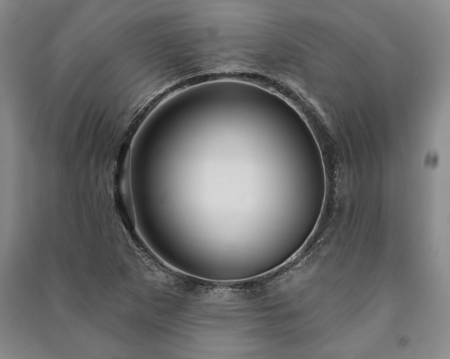 X0000091211265200708161535