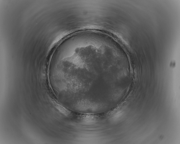 X0000091211266200708161535