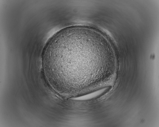 X0000091211267200708161535