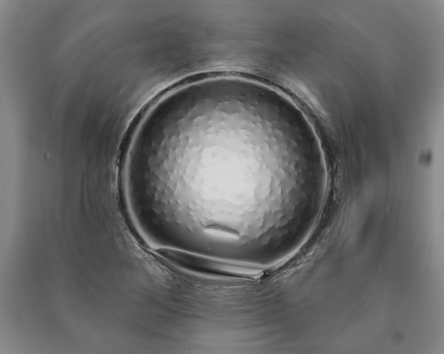 X0000091211268200708161535