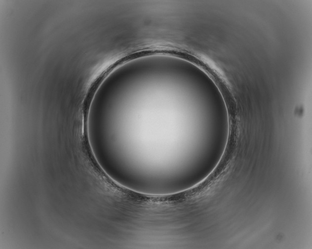 X0000091211269200708161535