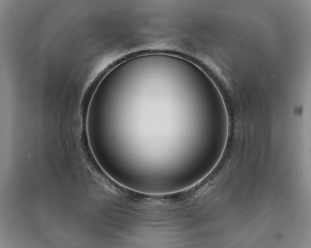 X0000091211270200708161535