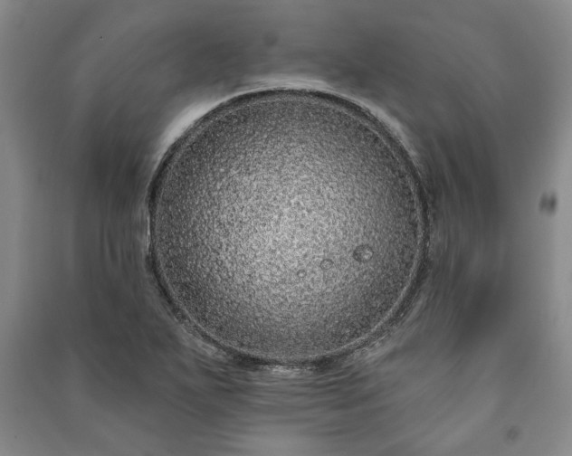 X0000091211271200708161535