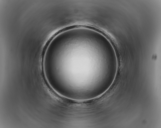 X0000091211272200708161535
