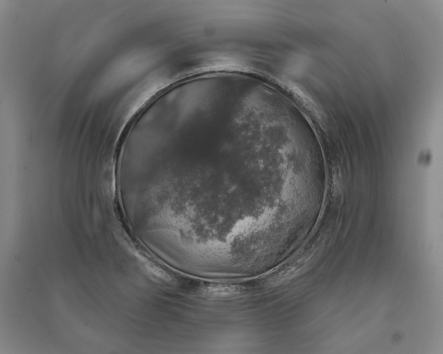 X0000091211274200708161535