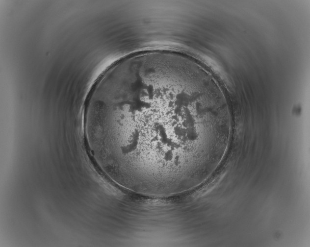 X0000091211275200708161535