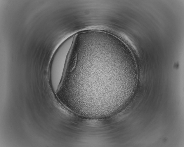 X0000091211276200708161535