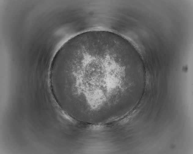 X0000091211278200708161535