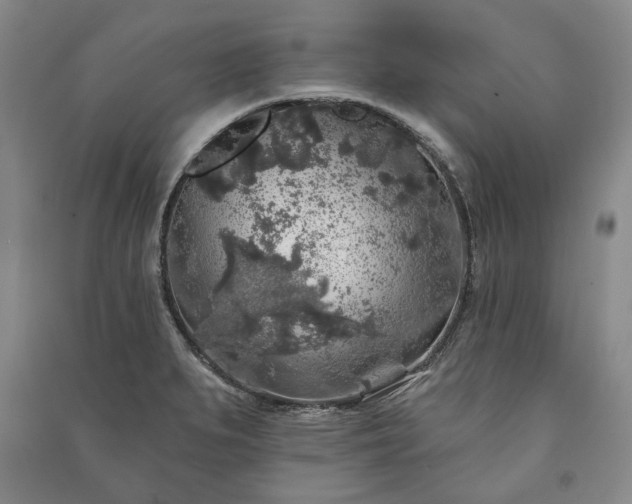 X0000091211279200708161535