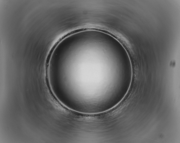 X0000091211280200708161535