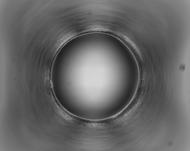 X0000091211281200708161535