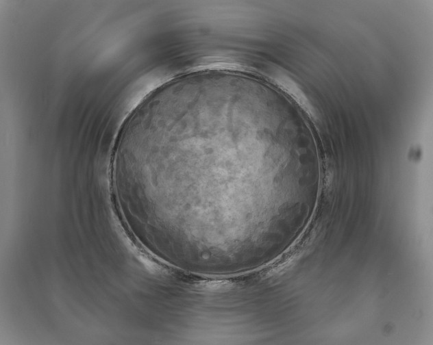 X0000091211282200708161535