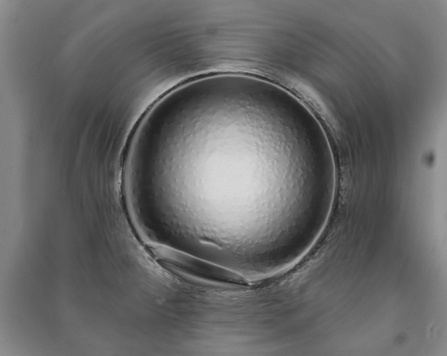 X0000091211284200708161535