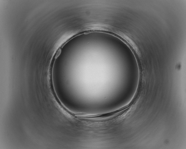 X0000091211285200708161535
