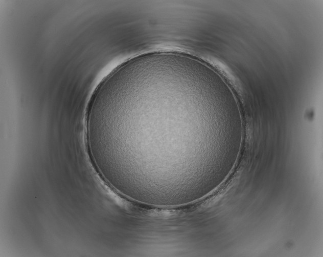 X0000091211286200708161535