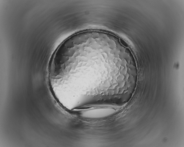 X0000091211287200708161535