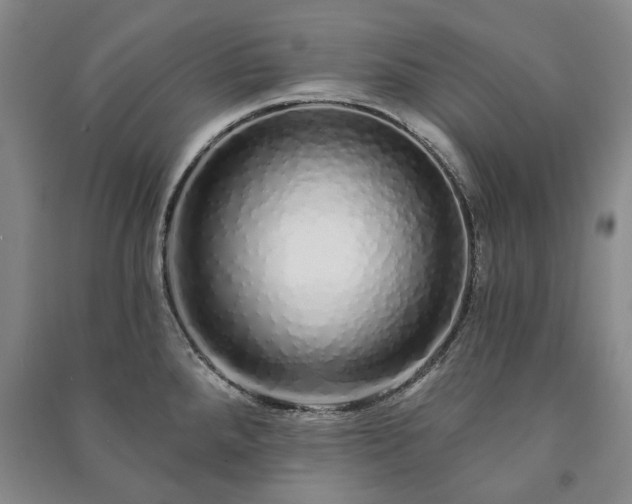 X0000091211288200708161535