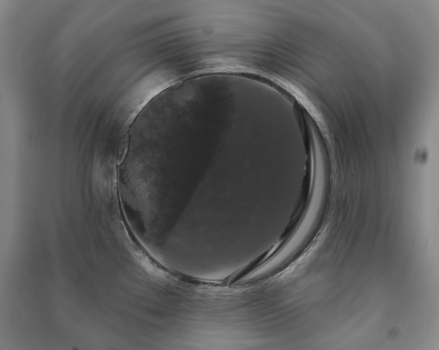 X0000091211289200708161535