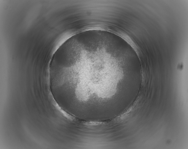 X0000091211290200708161535