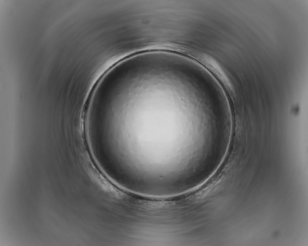 X0000091211292200708161535