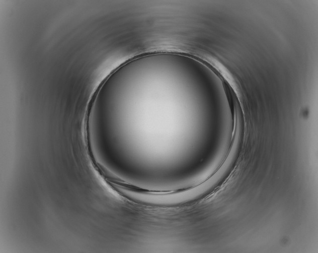 X0000091211293200708161535