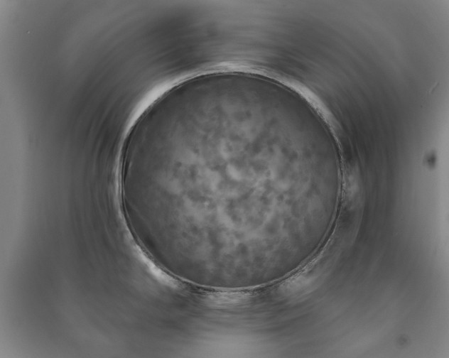 X0000091211294200708161535