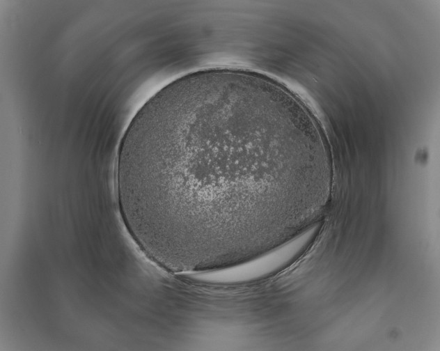 X0000091211295200708161535