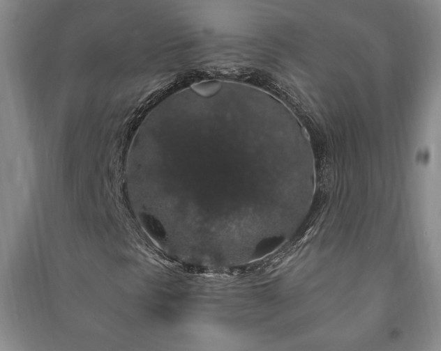 X0000091211297200708161534