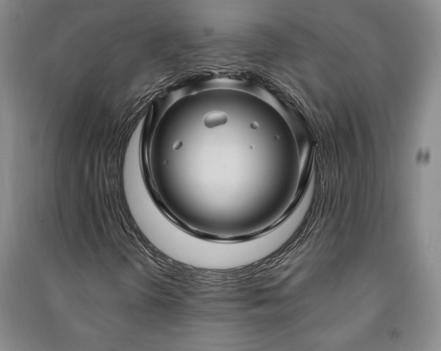 X0000091211298200708161534