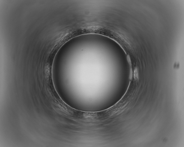 X0000091211299200708161534