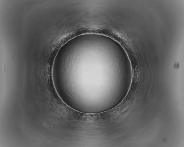 X0000091211301200708161534