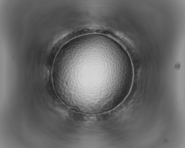 X0000091211302200708161534