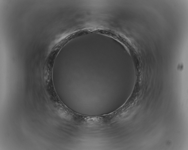 X0000091211303200708161534