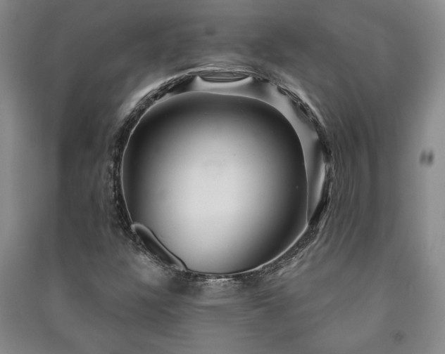 X0000091211304200708161534