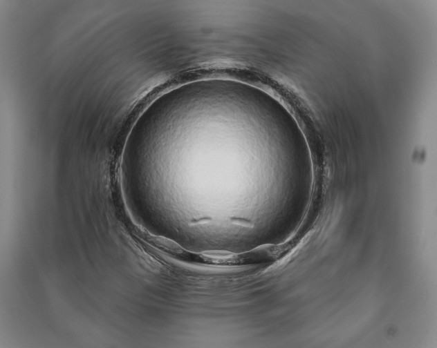 X0000091211305200708161534