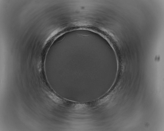 X0000091211306200708161534