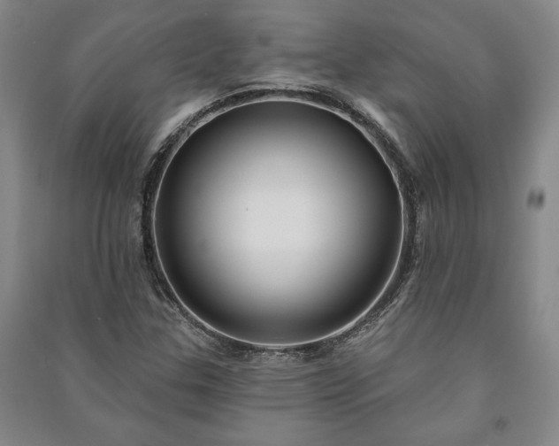 X0000091211307200708161534