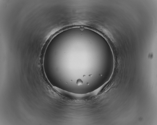 X0000091211308200708161534