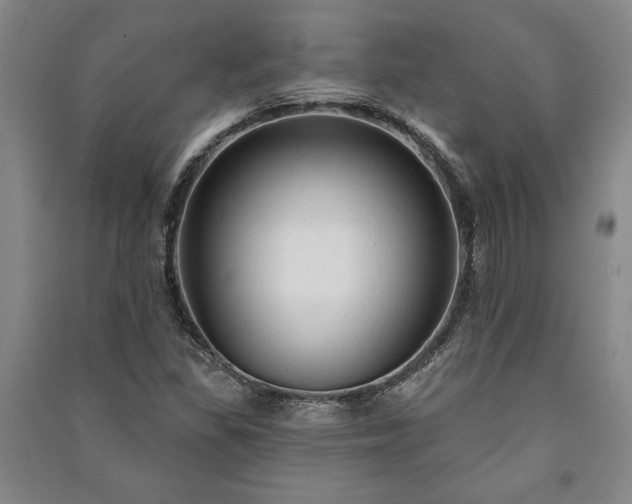 X0000091211309200708161534