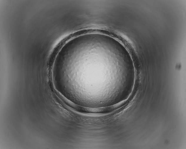 X0000091211310200708161534