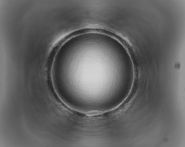 X0000091211311200708161534