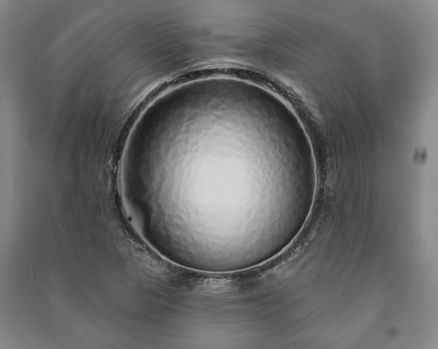 X0000091211313200708161534