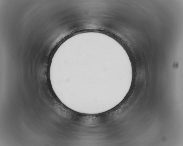 X0000091211314200708161534